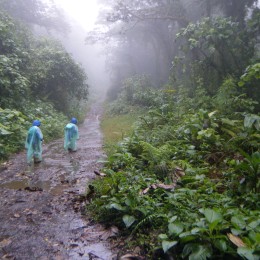 The Santa Elena Cloud Forest Reserve (Reserva Bosque Nuboso Santa Elena)